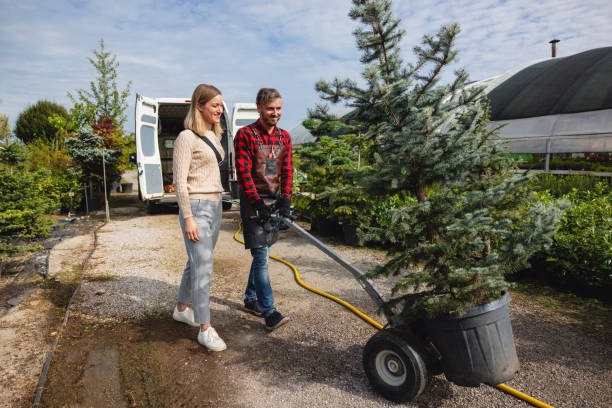 Reliable Lebanon, IL Tree Service Solutions